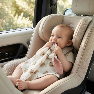 Doudou ours bebe cute en voyage