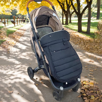 chanceliere bebe automne reussit