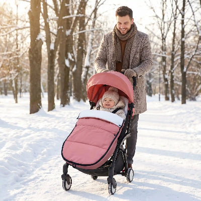 papa pousse chanceliere bebe au parc